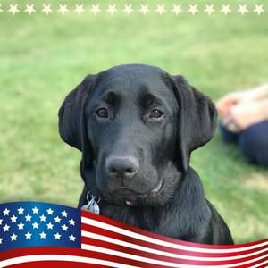 Meet your Posher, Charles